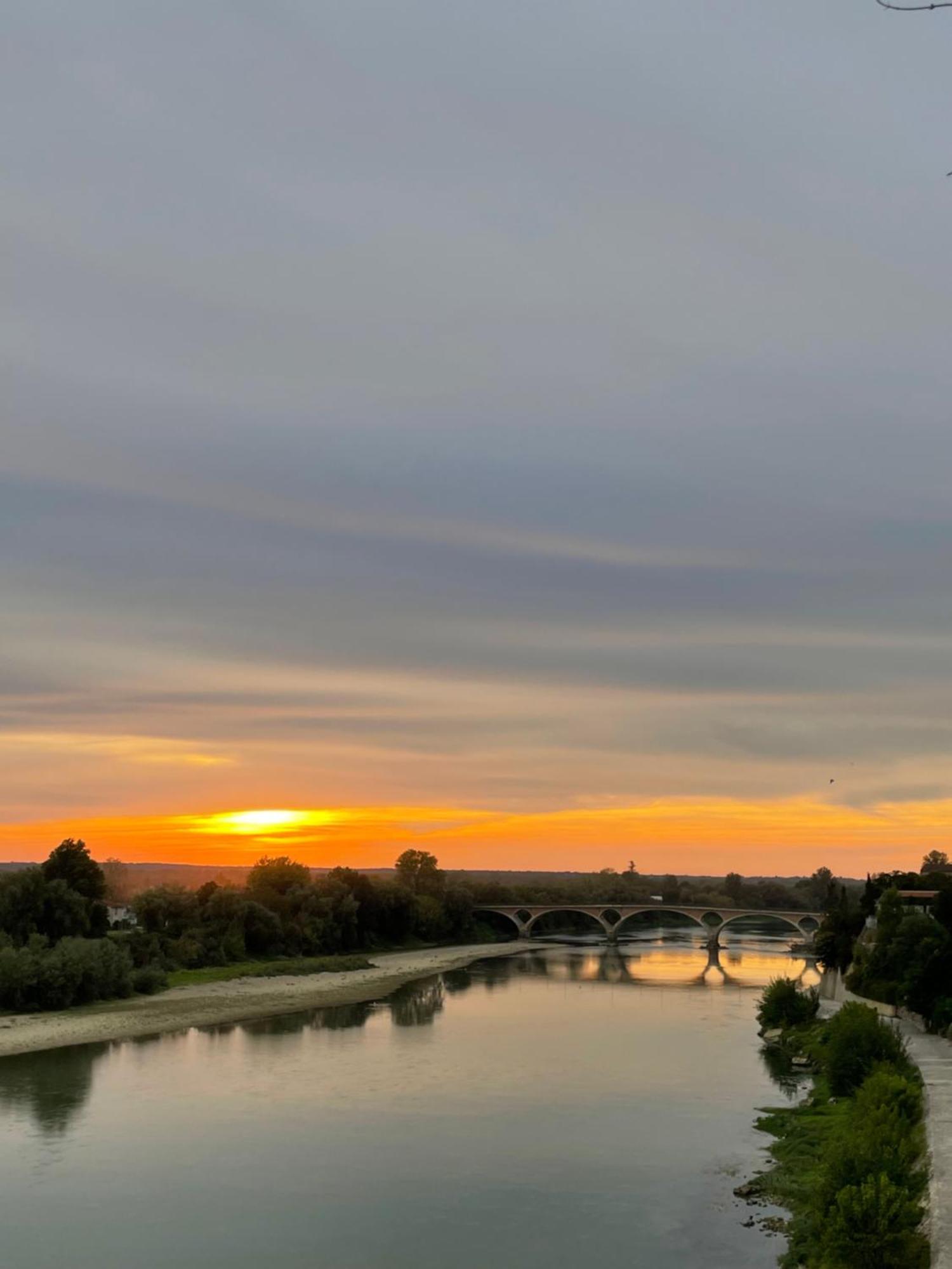 Hotel Restaurant Cote Garonne Le Balcon Des Dames - Tonneins Fauillet Marmande - Vue Panoramique Bord De Garonne Chambres Climatisees エクステリア 写真